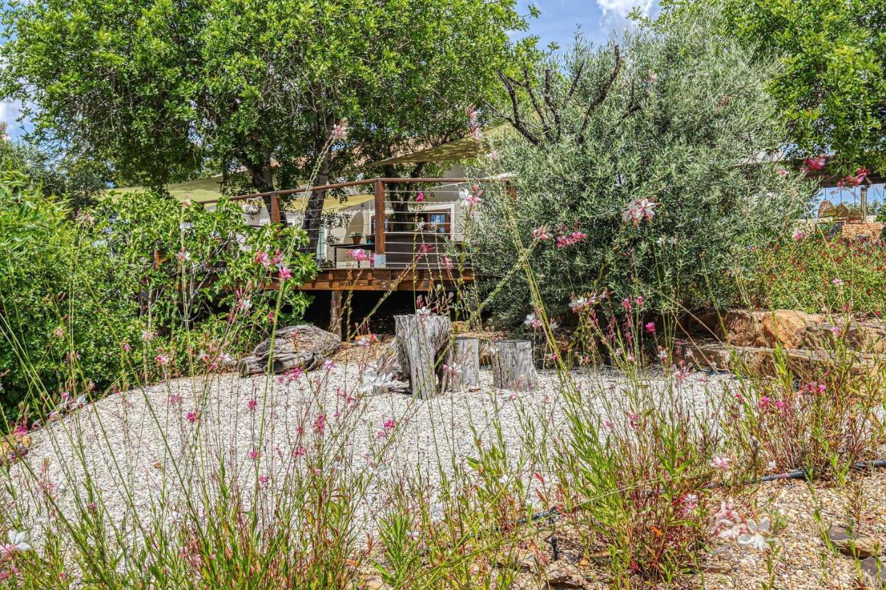 Figs On The Funcho Self Catering - A River Side Location Pedreiras  Eksteriør bilde
